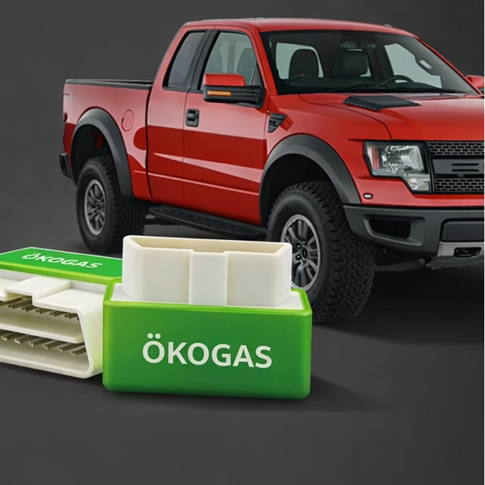 Halbieren Sie Ihre Tankkosten mit ÖkoGas™