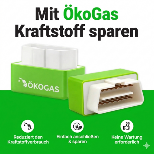 Halbieren Sie Ihre Tankkosten mit ÖkoGas™ - V3