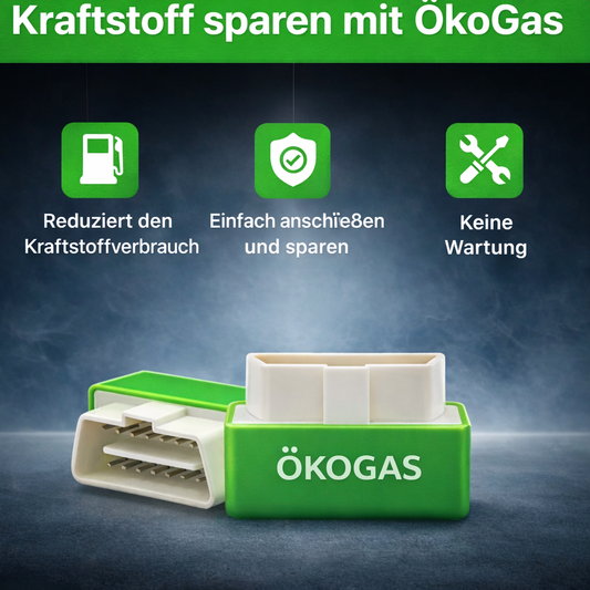 Halbieren Sie Ihre Tankkosten mit ÖkoGas™ - V3