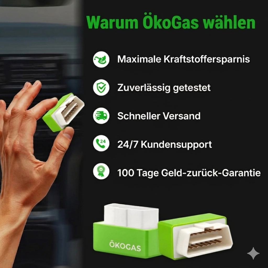 ÖkoGas™ - Chip
