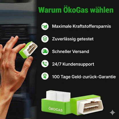 ÖkoGas™ - Chip