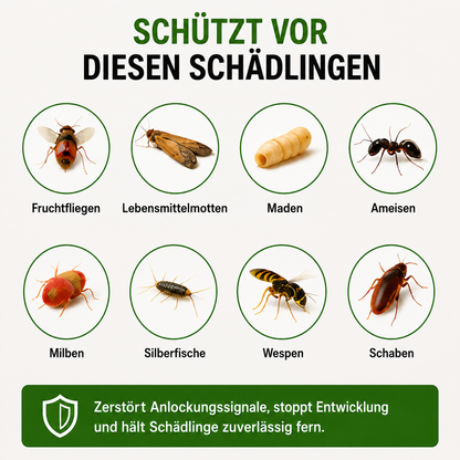Ozoori™ – Die molekulare Endstation für Fruchtfliegen, Larven und Küchenschädlinge – spare bis zu 500 € im Jahr