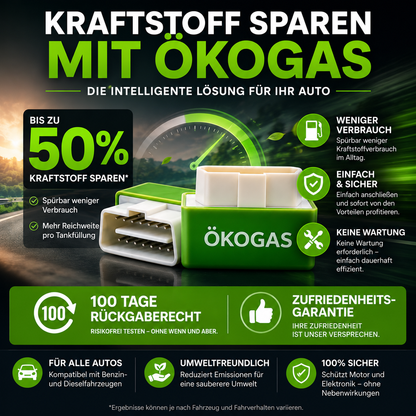Halbieren Sie Ihre Tankkosten mit ÖkoGas™ - V6