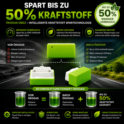 Halbieren Sie Ihre Tankkosten mit ÖkoGas™ - V6