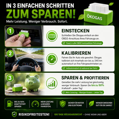 Halbieren Sie Ihre Tankkosten mit ÖkoGas™ - V6