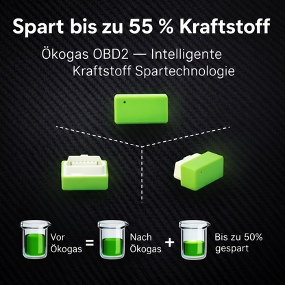 Halbieren Sie Ihre Tankkosten mit ÖkoGas™