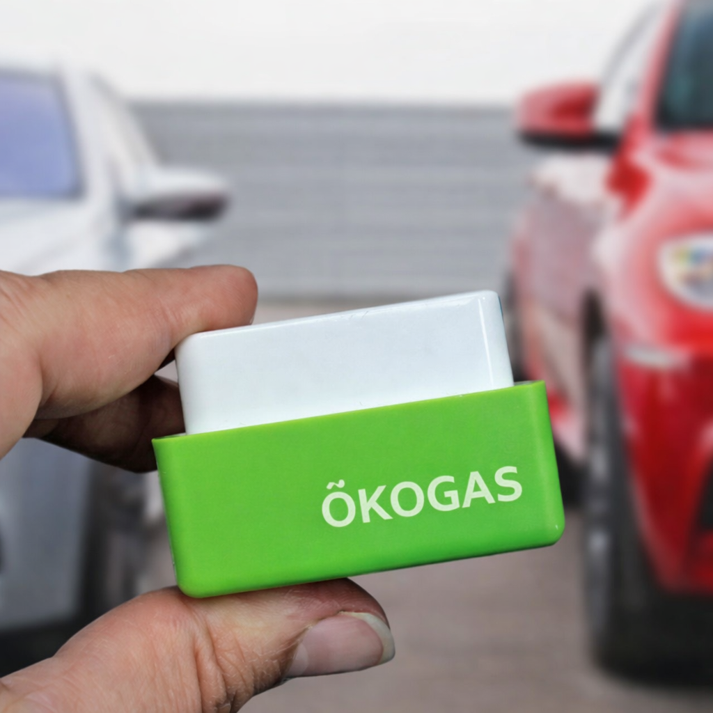 Halbieren Sie Ihre Tankkosten mit ÖkoGas™