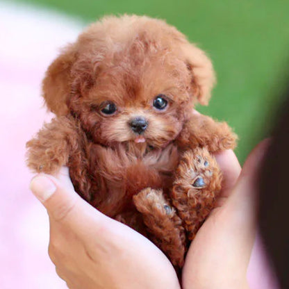 Real Puppy - Realistic Robot Puppy